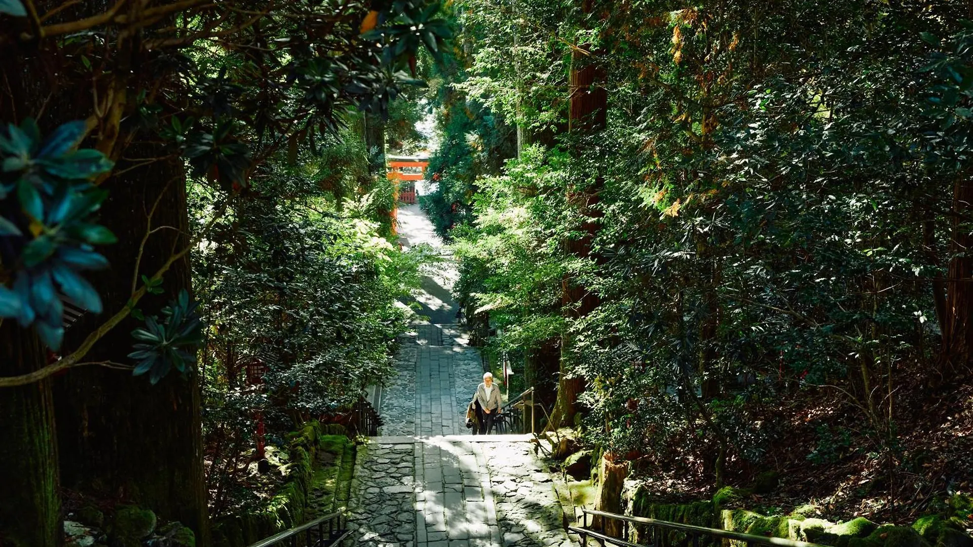 Villa Hakone Kabuto 古民家旅館 150平米 バス停迄一分 準天然温泉 最大12名 Japan